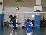 2011_06_05_interdep_poussins_15